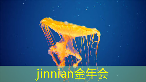 <strong>小镇经营3d游戏怎么玩</strong>
