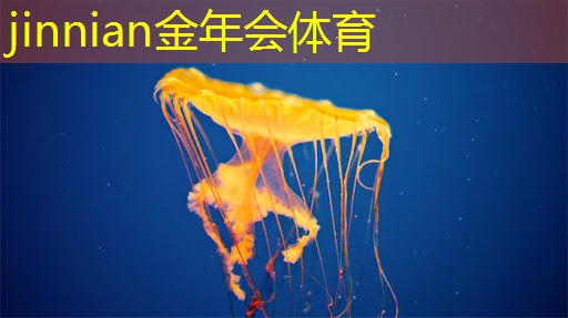 动画和影视动画有没有区别