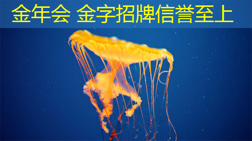 小镇经营3d游戏怎么玩